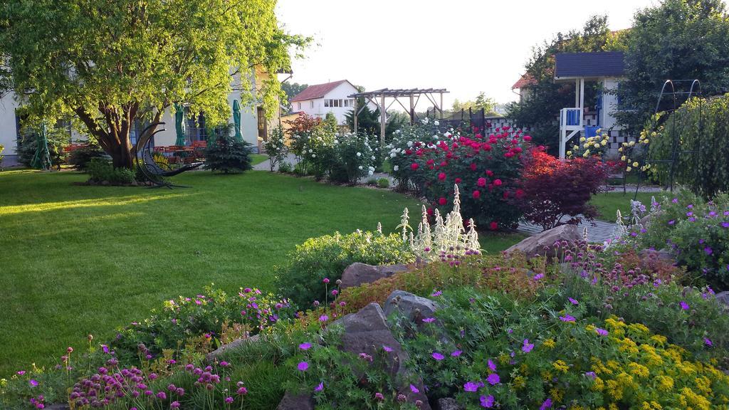 Villa Westfalia Guest House Tîrgu Secuiesc Exteriör bild