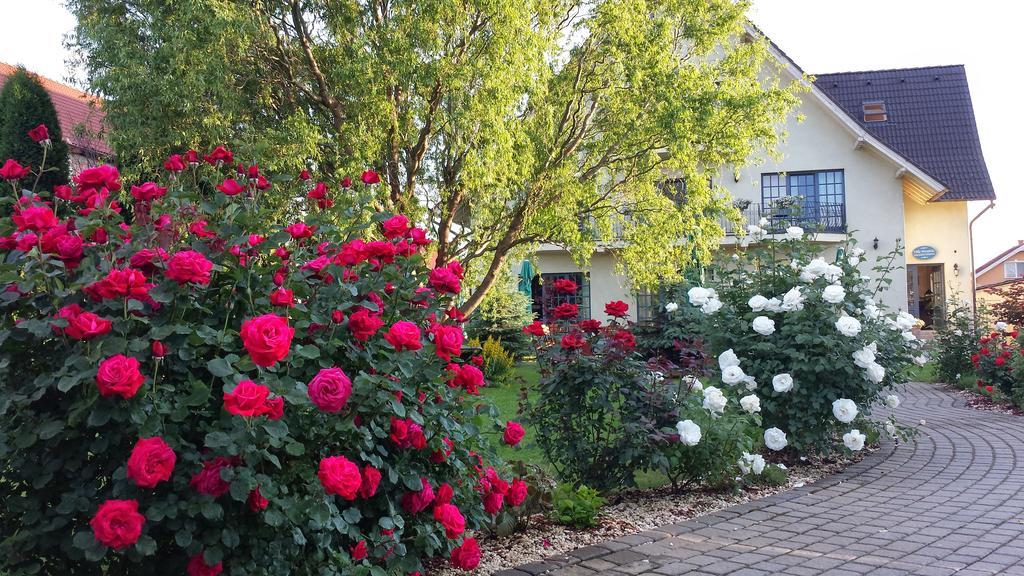 Villa Westfalia Guest House Tîrgu Secuiesc Exteriör bild